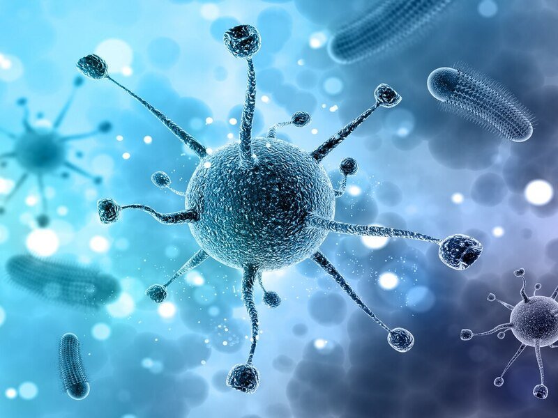 Microbiology2